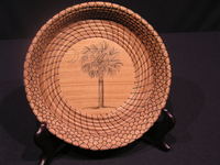 image of Ancient Cypress